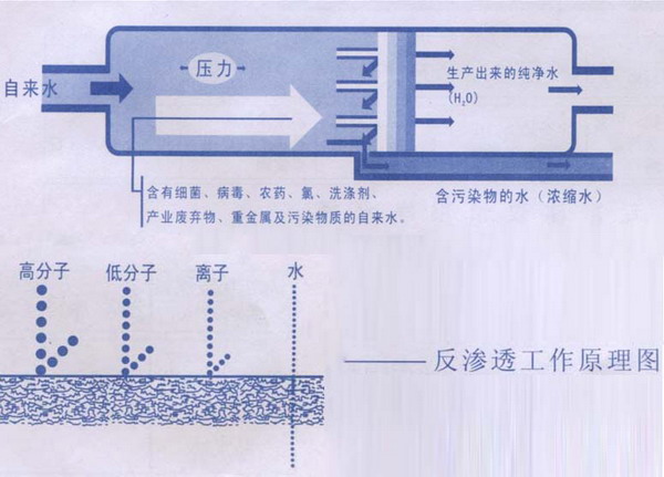 青岛纯水机反渗透工作原理图 兰雀纯水机;青岛纯水机;清华华丰太阳能;太阳能热水器;家庭终端制水;第三次饮水革命;兰雀净水器;软水机;水处理;水净化;兰雀纯水机青岛销售中; 青岛清华联创水暖制冷有限公司