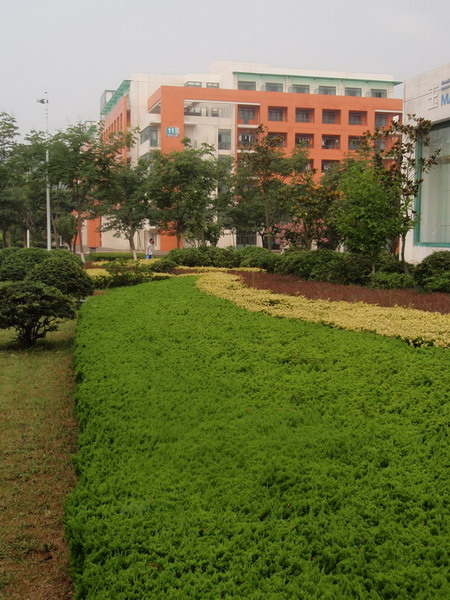 中国石油大学青岛校区 青岛景观;青岛园林环境;青岛景观设计; 青岛景观|青岛景观设计|青岛成林景观工程有限公司