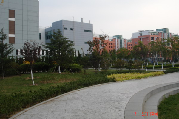 中国石油大学青岛校区 青岛景观;青岛园林环境;青岛景观设计; 青岛景观|青岛景观设计|青岛成林景观工程有限公司